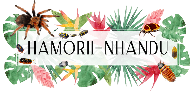 Hamorii-Nhandu